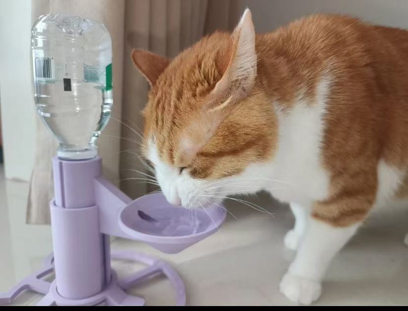 How Long Does a Pet Water Fountain Last? The Ultimate Durability &amp; Maintenance Guide