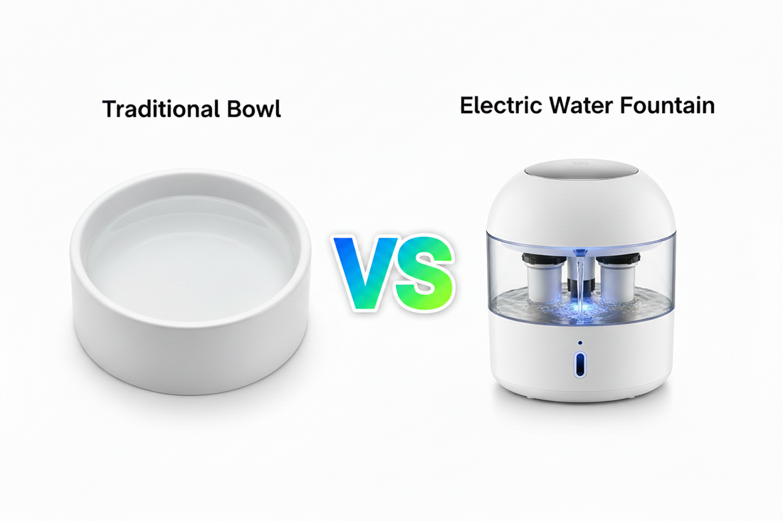 Automatic Pet Drinking Fountain vs Traditional Bowl: What's the Best Choice for Your Store in 2026?