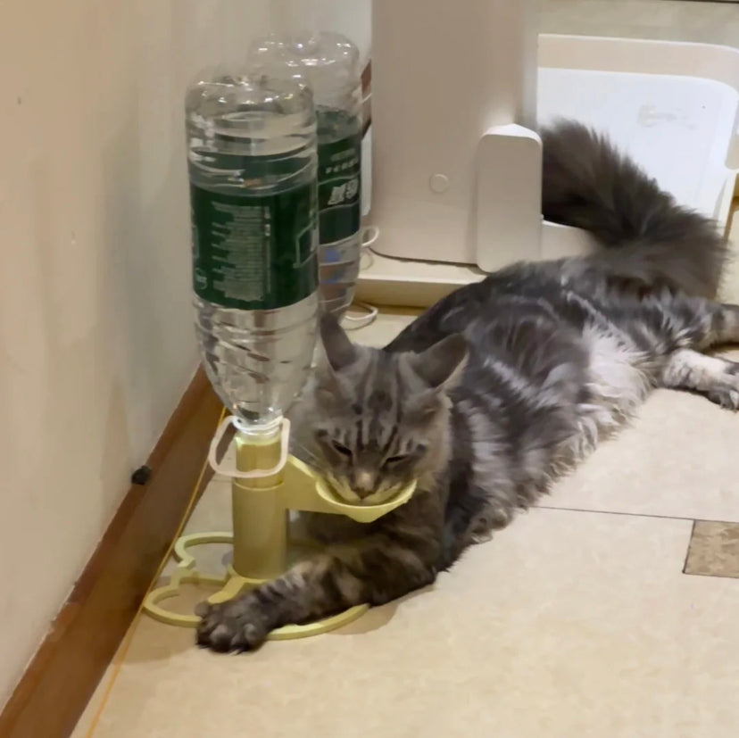 Automatic Pet Drinking Fountain