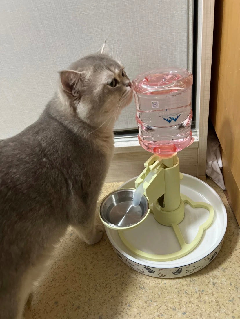 Clean Drinking Water for Cats: Is It Better to Give Tap or Filtered Water?