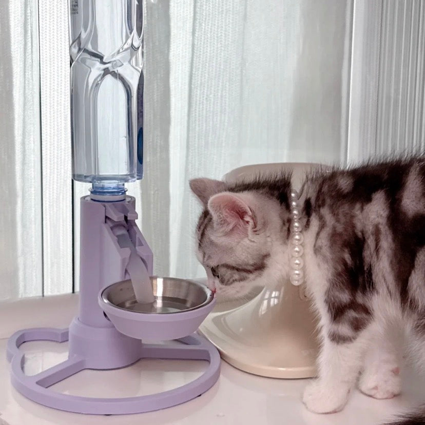 Pumpless & Cordless Cat Fountain: The Silent Solution