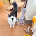 Pumpless Stainless Steel Cat Water Fountain - The Best Filterless Cat Water Fountain, Adjustable Stand, Pure Cat Water Fountain Dispenser for Standard Bottles
