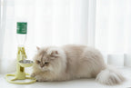 Pumpless Stainless Steel Cat Water Fountain - The Best Filterless Cat Water Fountain, Adjustable Stand, Pure Cat Water Fountain Dispenser for Standard Bottles
